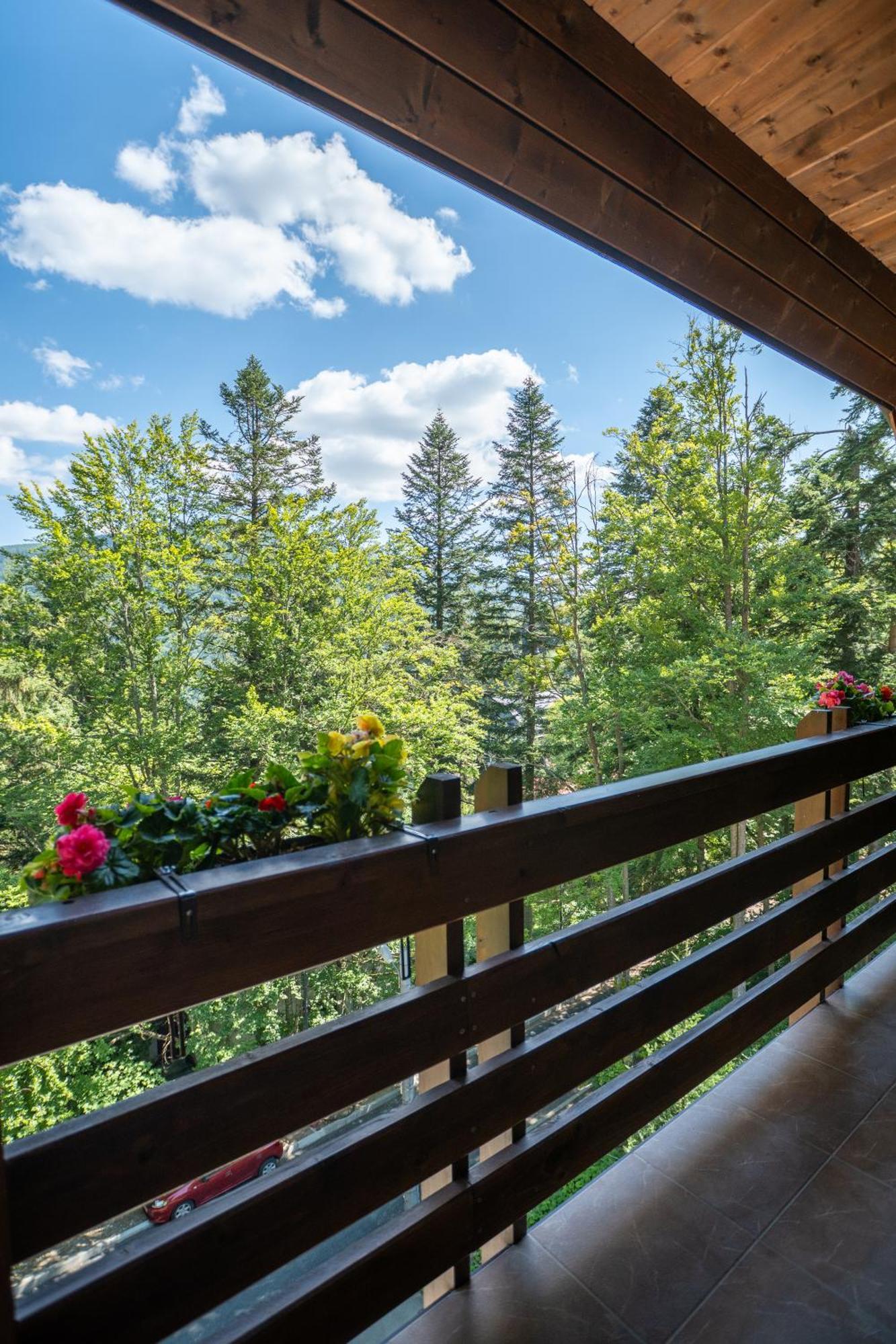 Opus Villa Sinaia Exterior foto A balcony in the Alps